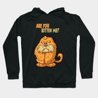 Are You Kitten Me? Hoodie